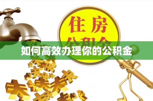 乌马河如何高效办理你的公积金