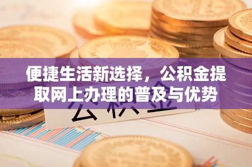 乌马河便捷生活新选择，公积金提取网上办理的普及与优势