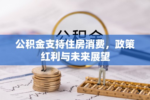乌马河公积金支持住房消费，政策红利与未来展望